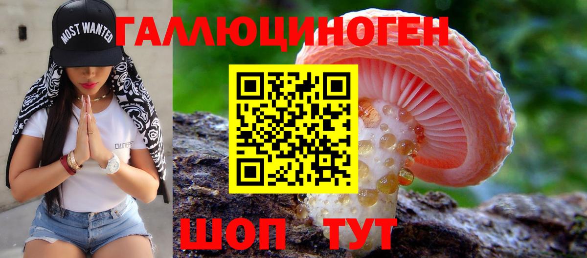 Галлюциногенные грибы Psilocybe  Вход с VPN  Псилоцибиновые грибы мицелий  Краснокаменск 